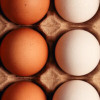 Q&A on Egg Prices